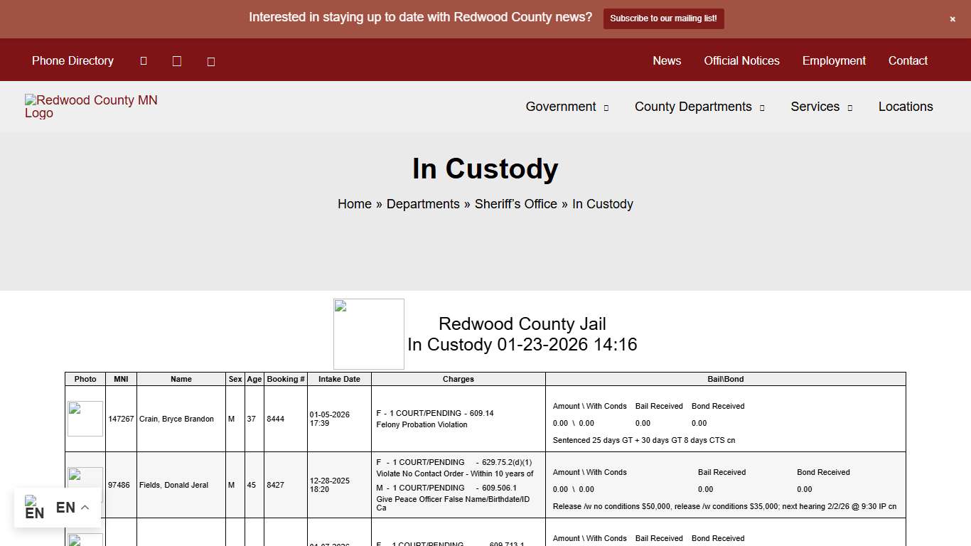 In Custody - Redwood County, MN